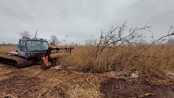 Mulchraupe im Einsatz