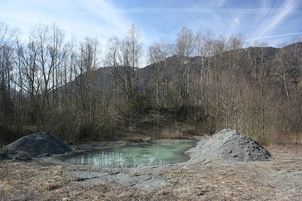 Tümpel für den Kammmolch