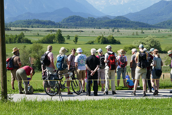 Exkursion im nördlichen Murnauer Moos